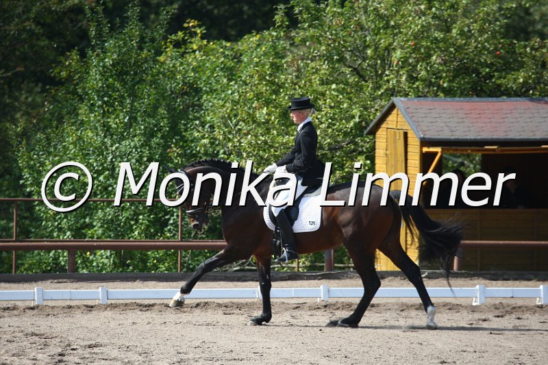 009M4729_Sir Arthur_Dressur S Nachwuchs.JPG